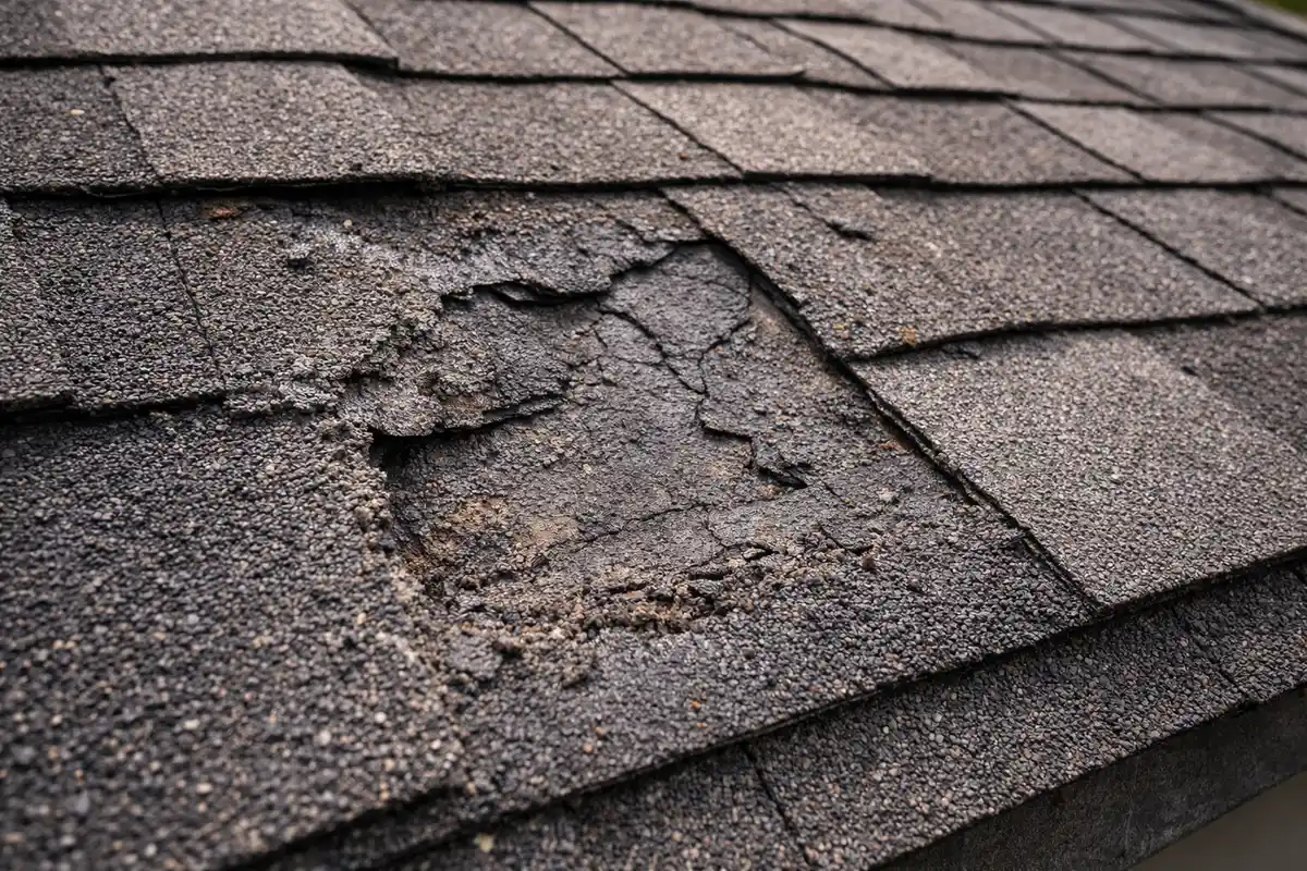 Four roofing replacement options — synthetic shake, architectural shingles, standing seam metal, and stone-coated steel